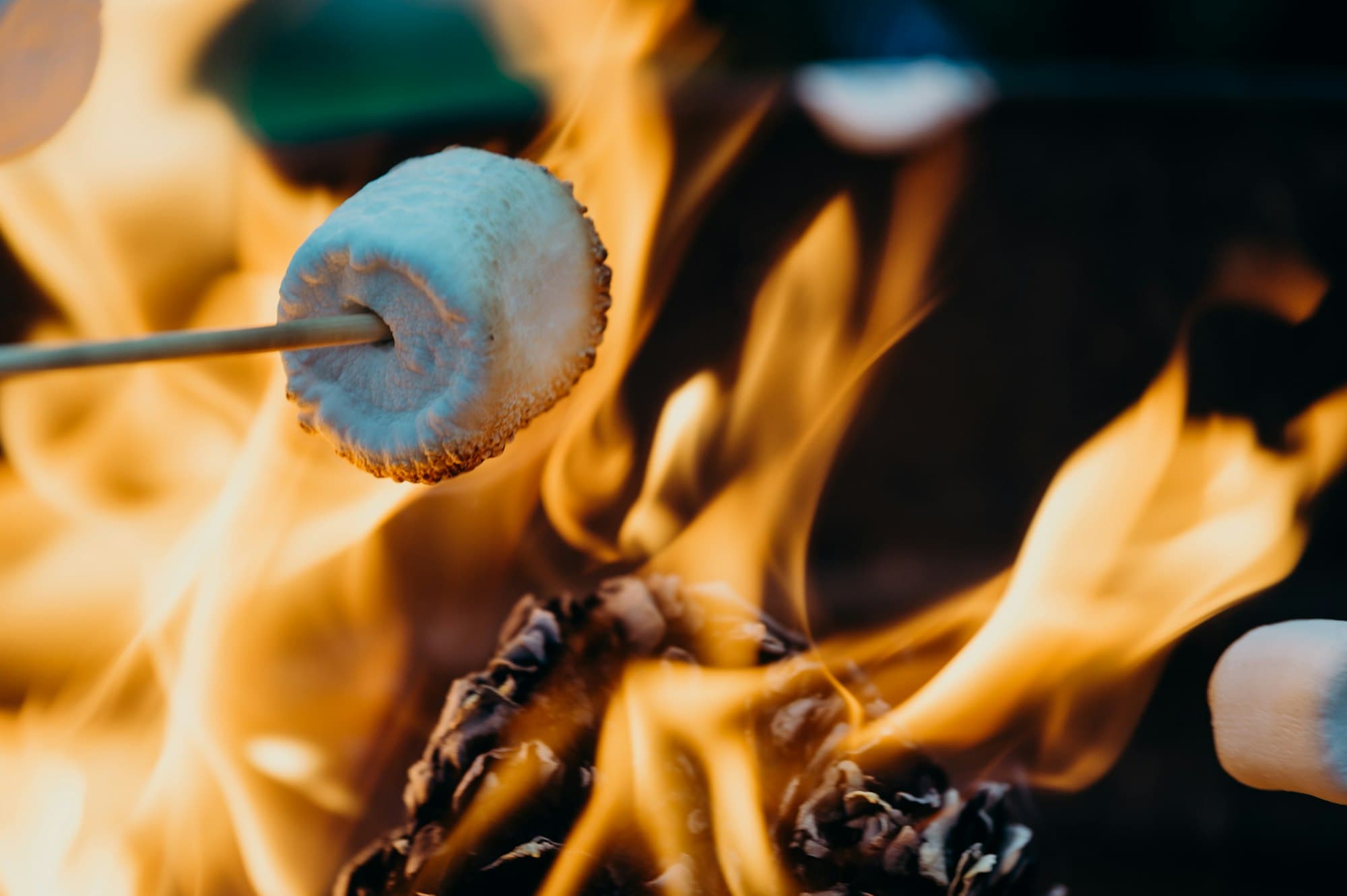 Marshmallow roasting over a fire