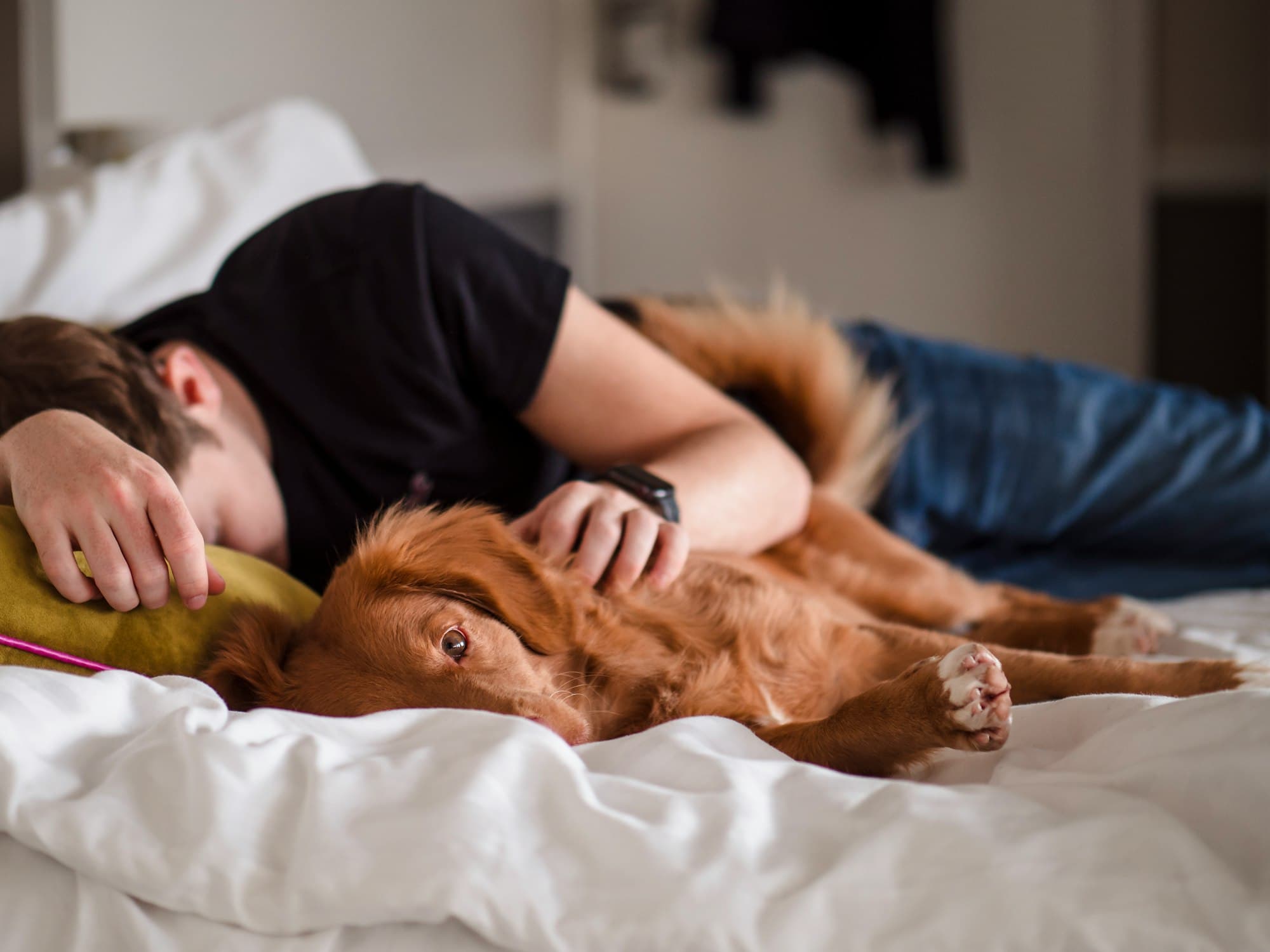 person in black shirt lying on bed with dog