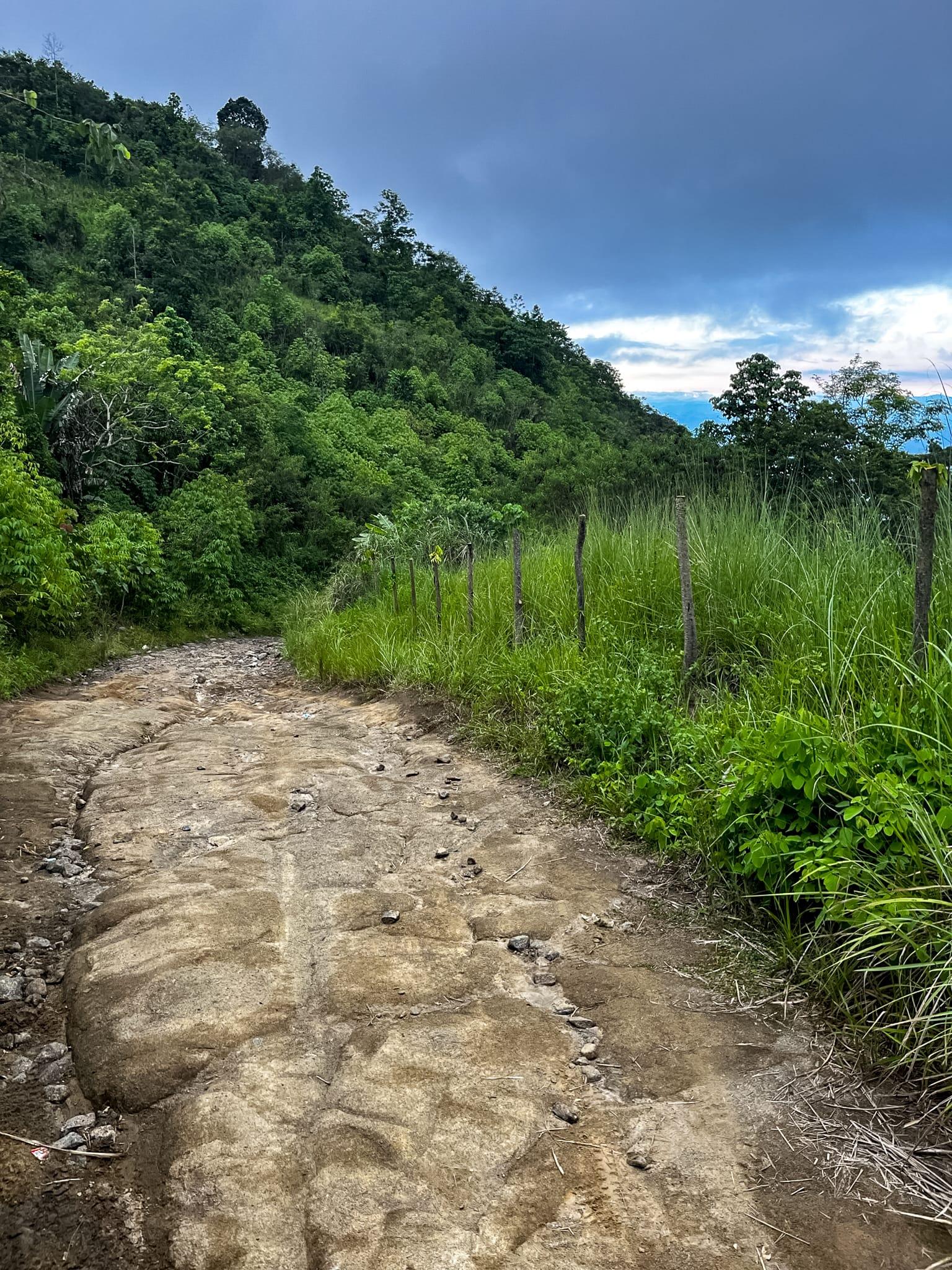 Rocky trail leading up the jungled mountain.