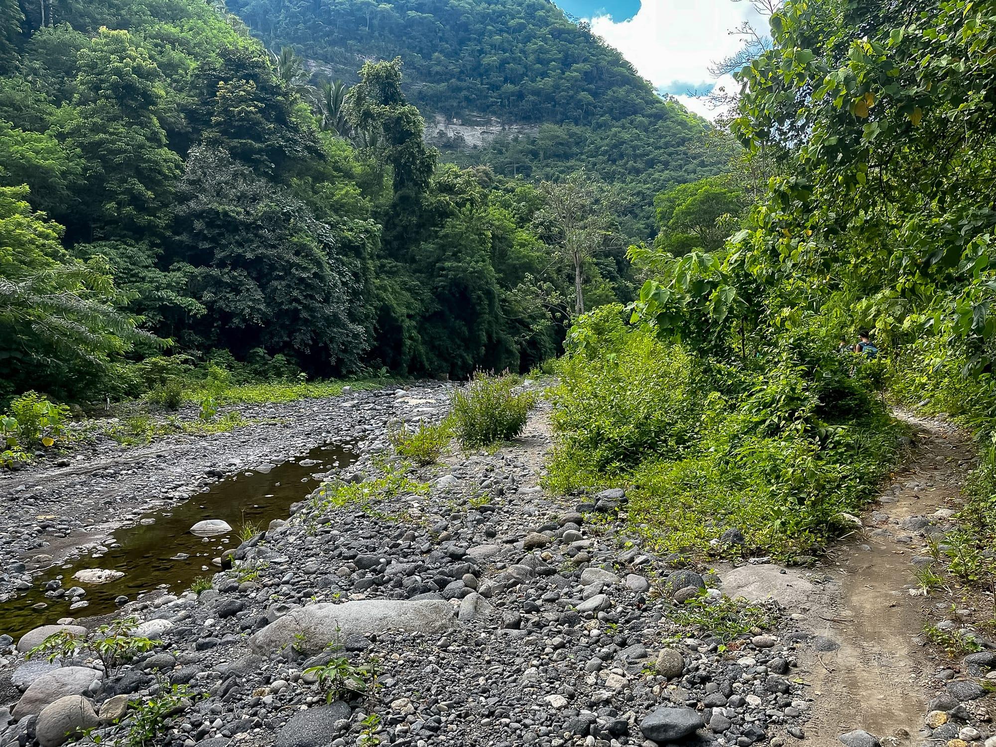 Empty river bed in the jungle