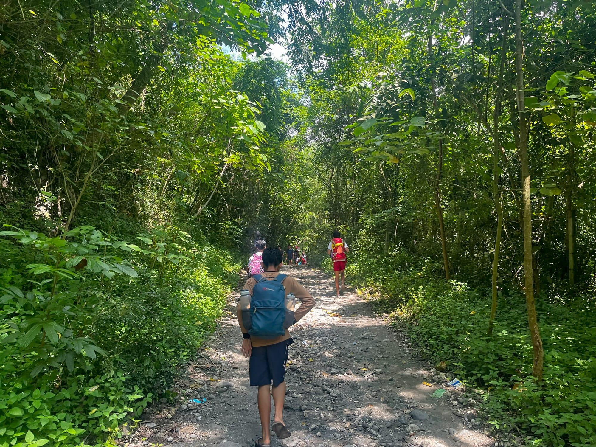 people walking along a better maintained trail through the jungle